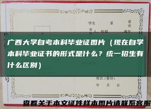 广西大学自考本科毕业证图片（现在自学本科毕业证书的形式是什么？统一招生有什么区别）缩略图