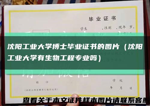 沈阳工业大学博士毕业证书的图片（沈阳工业大学有生物工程专业吗）缩略图