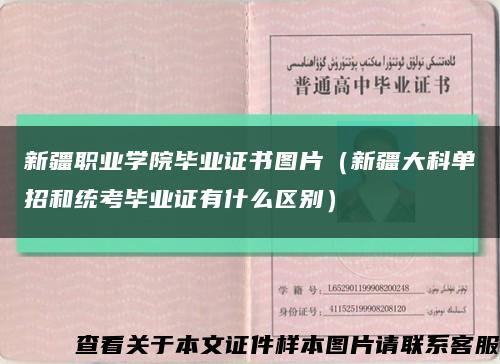 新疆职业学院毕业证书图片（新疆大科单招和统考毕业证有什么区别）缩略图