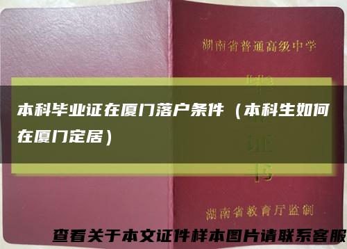 本科毕业证在厦门落户条件（本科生如何在厦门定居）缩略图