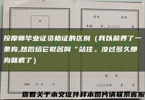 按摩师毕业证资格证的区别（我以前养了一条狗,然后给它取名叫“站住。没过多久那狗就疯了）缩略图