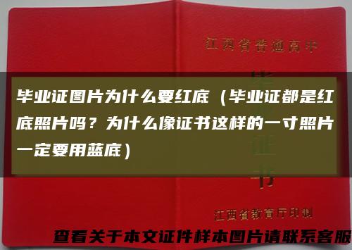 毕业证图片为什么要红底（毕业证都是红底照片吗？为什么像证书这样的一寸照片一定要用蓝底）缩略图