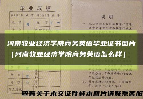 河南牧业经济学院商务英语毕业证书图片（河南牧业经济学院商务英语怎么样）缩略图