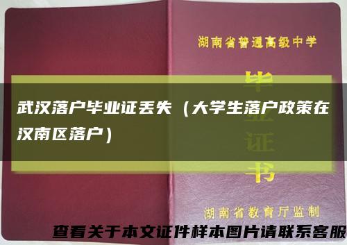 武汉落户毕业证丢失（大学生落户政策在汉南区落户）缩略图