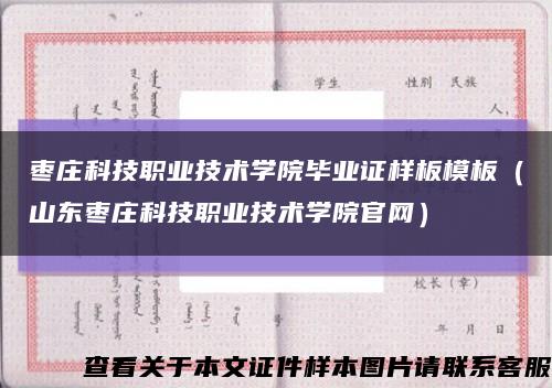 枣庄科技职业技术学院毕业证样板模板（山东枣庄科技职业技术学院官网）缩略图