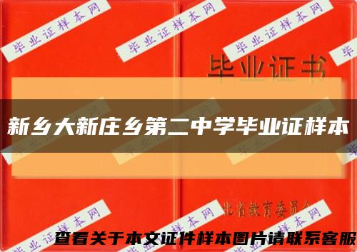 新乡大新庄乡第二中学毕业证样本缩略图