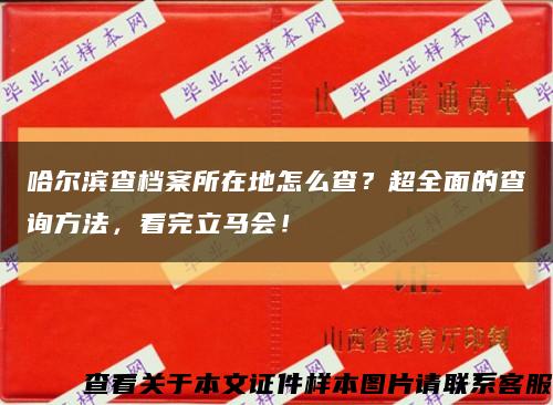 哈尔滨查档案所在地怎么查？超全面的查询方法，看完立马会！缩略图