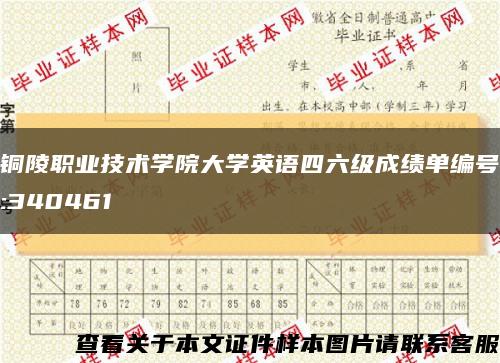 铜陵职业技术学院大学英语四六级成绩单编号:340461缩略图