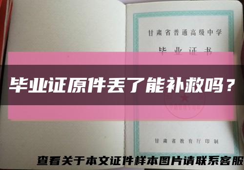 毕业证原件丢了能补救吗？缩略图