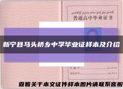 新宁县马头桥乡中学毕业证样本及介绍缩略图