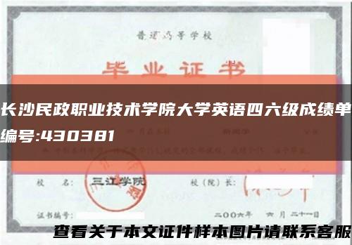 长沙民政职业技术学院大学英语四六级成绩单编号:430381缩略图