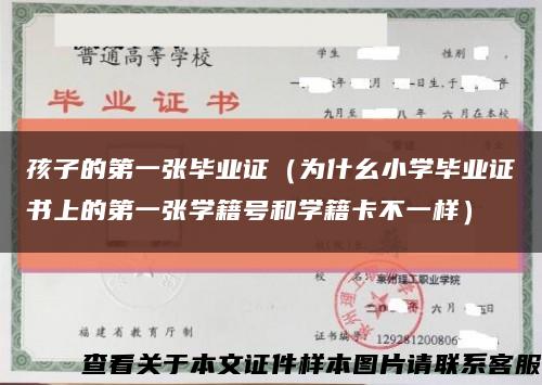 孩子的第一张毕业证（为什幺小学毕业证书上的第一张学籍号和学籍卡不一样）缩略图