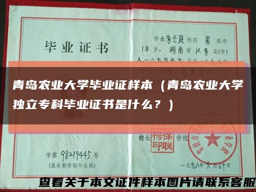 青岛农业大学毕业证样本（青岛农业大学独立专科毕业证书是什么？）缩略图