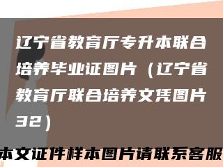 辽宁省教育厅专升本联合培养毕业证图片（辽宁省教育厅联合培养文凭图片32）缩略图