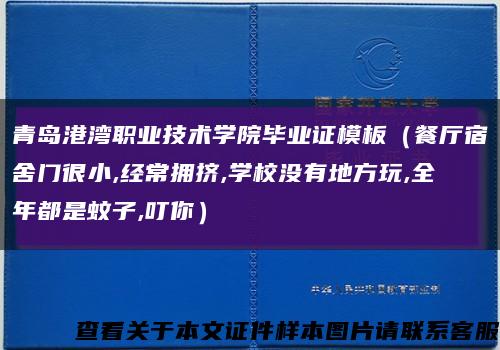 青岛港湾职业技术学院毕业证模板（餐厅宿舍门很小,经常拥挤,学校没有地方玩,全年都是蚊子,叮你）缩略图