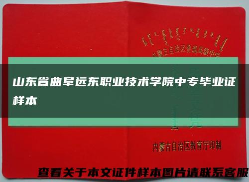 山东省曲阜远东职业技术学院中专毕业证样本缩略图