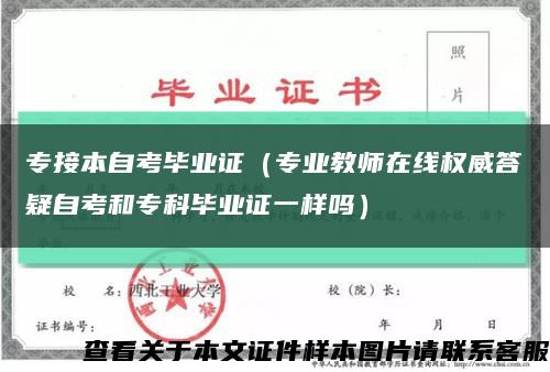 专接本自考毕业证（专业教师在线权威答疑自考和专科毕业证一样吗）缩略图