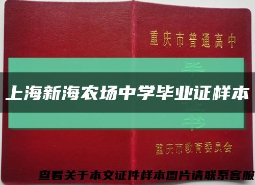 上海新海农场中学毕业证样本缩略图