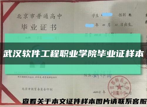 武汉软件工程职业学院毕业证样本缩略图