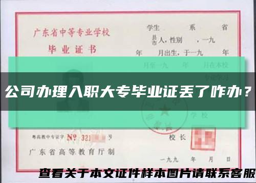 公司办理入职大专毕业证丢了咋办？缩略图