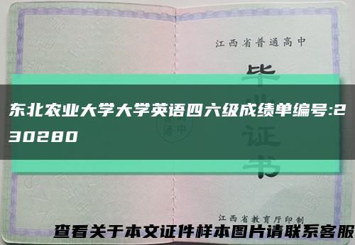 东北农业大学大学英语四六级成绩单编号:230280缩略图