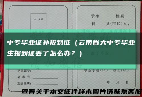 中专毕业证补报到证（云南省大中专毕业生报到证丢了怎么办？）缩略图