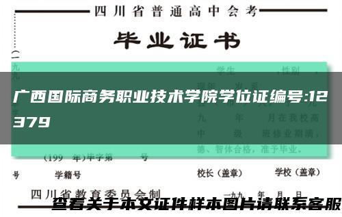 广西国际商务职业技术学院学位证编号:12379缩略图