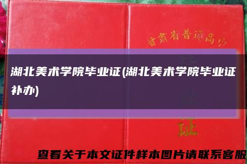 湖北美术学院毕业证(湖北美术学院毕业证补办)缩略图