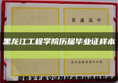 黑龙江工程学院历届毕业证样本缩略图