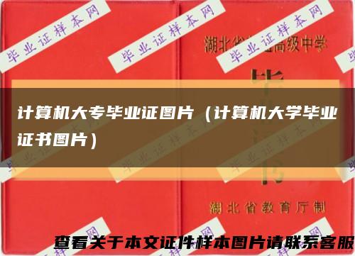 计算机大专毕业证图片（计算机大学毕业证书图片）缩略图