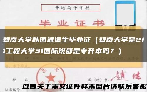 暨南大学韩国派遣生毕业证（暨南大学是211工程大学31国际班都是专升本吗？）缩略图