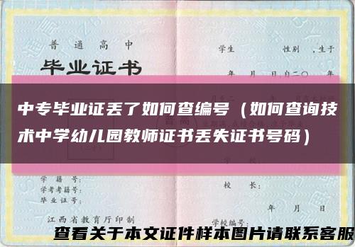 中专毕业证丢了如何查编号（如何查询技术中学幼儿园教师证书丢失证书号码）缩略图