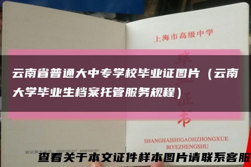 云南省普通大中专学校毕业证图片（云南大学毕业生档案托管服务规程）缩略图