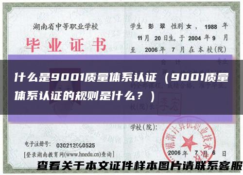 什么是9001质量体系认证（9001质量体系认证的规则是什么？）缩略图