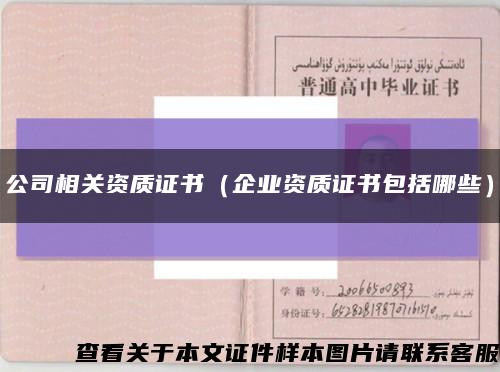 公司相关资质证书（企业资质证书包括哪些）缩略图