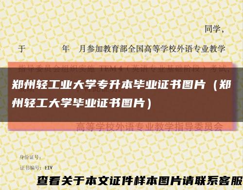 郑州轻工业大学专升本毕业证书图片（郑州轻工大学毕业证书图片）缩略图