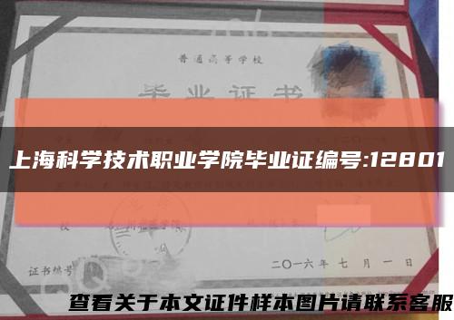 上海科学技术职业学院毕业证编号:12801缩略图