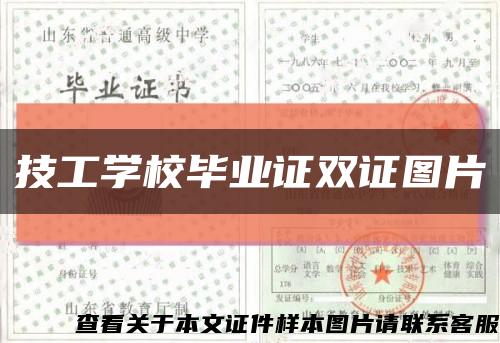 技工学校毕业证双证图片缩略图