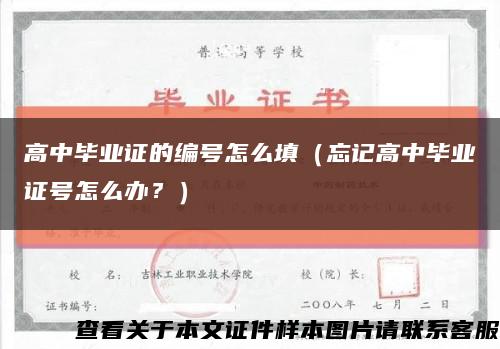 高中毕业证的编号怎么填（忘记高中毕业证号怎么办？）缩略图