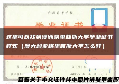 这里可以找到澳洲格里菲斯大学毕业证书样式（澳大利亚格里菲斯大学怎么样）缩略图