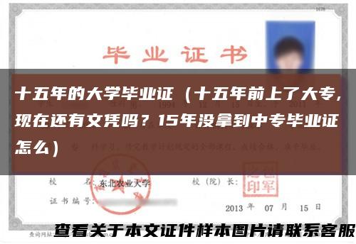 十五年的大学毕业证（十五年前上了大专,现在还有文凭吗？15年没拿到中专毕业证怎么）缩略图