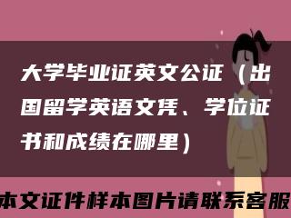 大学毕业证英文公证（出国留学英语文凭、学位证书和成绩在哪里）缩略图