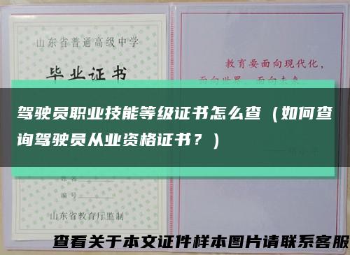 驾驶员职业技能等级证书怎么查（如何查询驾驶员从业资格证书？）缩略图