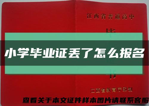 小学毕业证丢了怎么报名缩略图