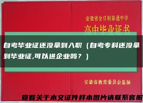 自考毕业证还没拿到入职（自考专科还没拿到毕业证,可以进企业吗？）缩略图