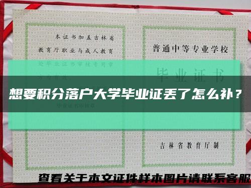 想要积分落户大学毕业证丢了怎么补？缩略图