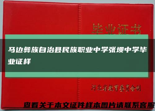 马边彝族自治县民族职业中学张坝中学毕业证样缩略图