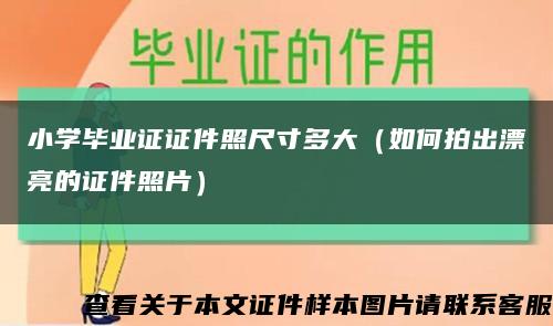 小学毕业证证件照尺寸多大（如何拍出漂亮的证件照片）缩略图