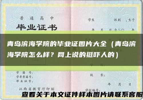 青岛滨海学院的毕业证图片大全（青岛滨海学院怎么样？网上说的挺吓人的）缩略图