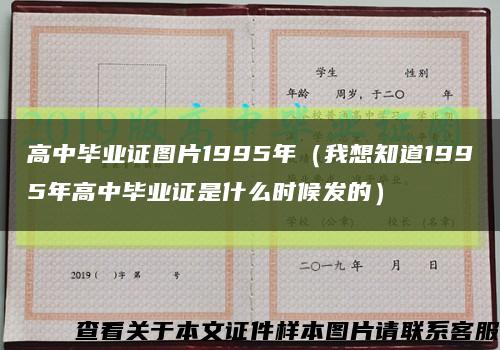 高中毕业证图片1995年（我想知道1995年高中毕业证是什么时候发的）缩略图